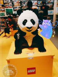 -kidsland(上海环球港店)