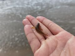 -聚德福海鲜家常菜(刘庄店)