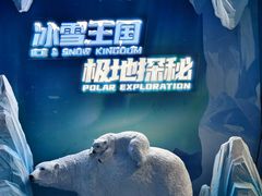 -海合安武汉极地海洋公园