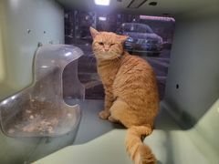 -平行世界·猫咖(首经贸店)