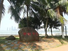 -万绿园