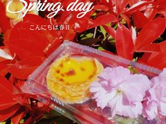 -東更道点心行(文化东路店)