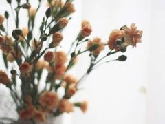 -美丽心情蛋糕(江苏路店)