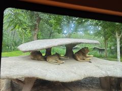 -北京野生动物园