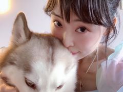 -Husky Go! 哈士奇体验馆·宠物咖啡厅狗咖