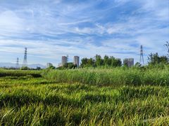 -永定河休闲森林公园