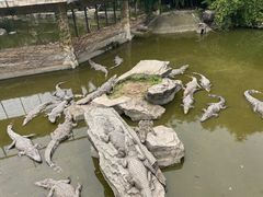 -南昌动物园