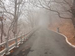 -大芦花风景区
