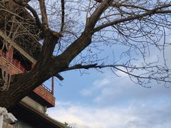 -姚记炒肝店(鼓楼店)