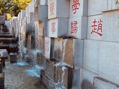 -河北省园博园