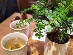 -CURRY YA 熟成咖哩專門店(深圳湾万象城店)