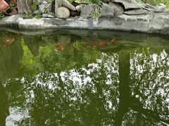 -双新垂钓园