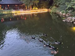 -南京东郊国宾馆