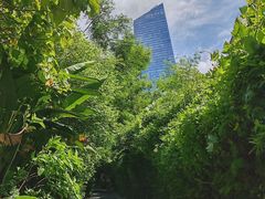 -华侨城湿地公园