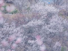 -妙峰山风景名胜区