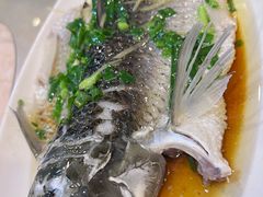 -开心农家菜