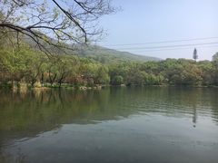 -紫霞湖公园