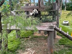 -西霞口神雕山野生动物世界