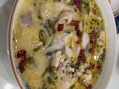 -陶然饺子城(奥体中路店)