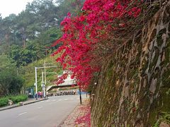 -白云山风景名胜区