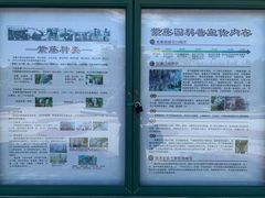 -嘉定紫藤园