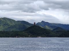 -望湖烤鱼