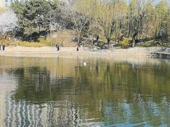-团结湖公园