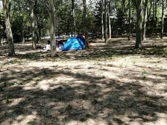 -森林公园(尖草坪区)