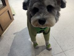 -FAELING PETS美天灵宠物(富力广场店)