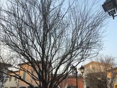 -京津佛罗伦萨小镇