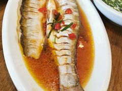 -老马家·舌尖上的西塘美食