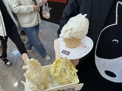 -野人先生现做冰淇淋(西安赛格店)