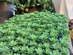 -山菌美食苑(振兴路店)