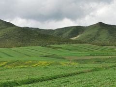 -扁都口生态休闲旅游区