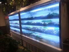 -钢五区节子串串香(环球汇·天誉店)