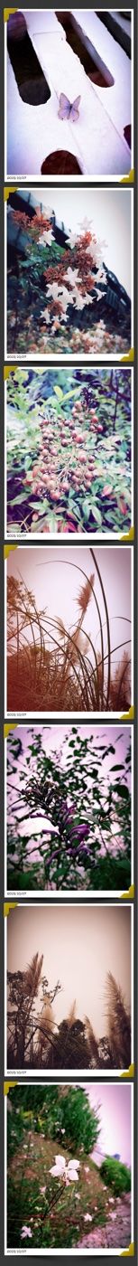 -上海滴水湖皇冠假日酒店