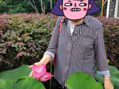 -荷塘月色湿地公园·向阳花洲