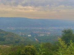 -白鹿原葡萄主题公园