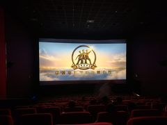 -武汉华夏国际影城(鲁广店)