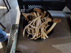 -探窝·竹笙椰子鸡(杨箕店)