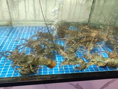 -顺德渔村·岭南一号