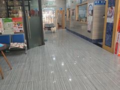 -瑞派名望志远动物医院·猫科·內科·异宠专科(直港大道店)