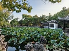 -无锡蠡湖国家湿地公园-蠡园