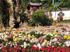-西湖公园(鼓楼区)