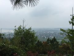 -雨花胜境