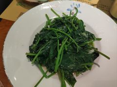 清炒苕尖-我家福厨(万达中餐厅店)