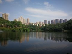 -重庆彩云湖湿地公园