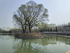 -仰山公园