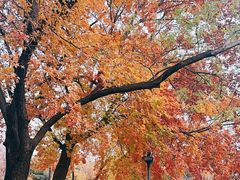 -长辛店二七公园