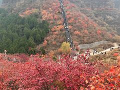 -狼牙山风景区